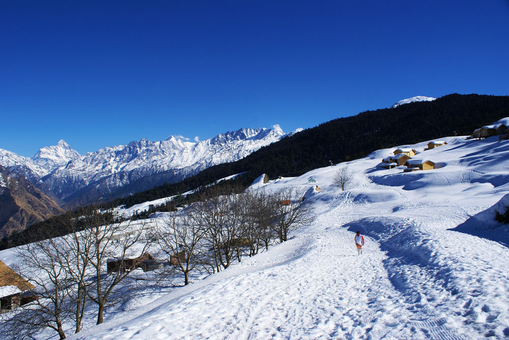 auli-5552801