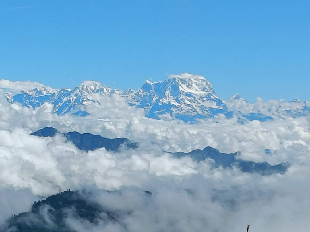 34a5b3c7-e1d0-4def-a4c7-5a00ad78162d