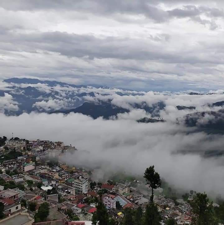 c65b29c2-65fc-4dda-8c0d-27a4beaddd00