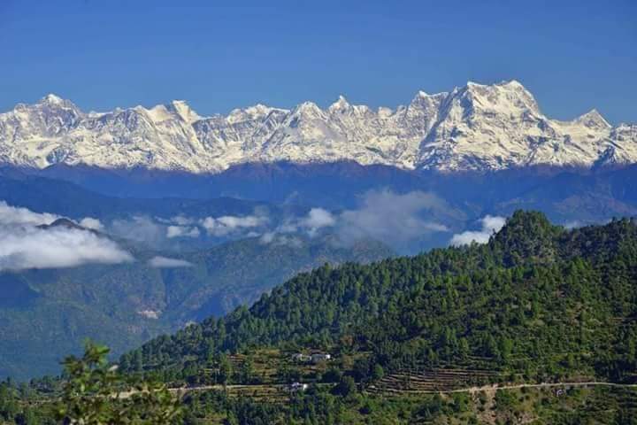 d045efc2-303a-4d4a-9767-0bfa6c22d833